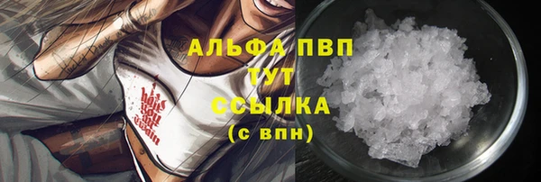 соль ск Белокуриха