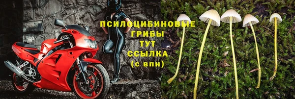 соль ск Белокуриха