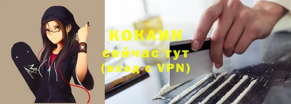 соль ск Белокуриха
