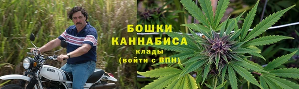 ПСИЛОЦИБИНОВЫЕ ГРИБЫ Белоозёрский