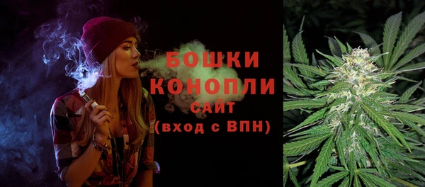 соль ск Белокуриха