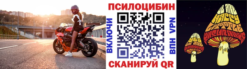 Псилоцибиновые грибы Cubensis  Купить  Ардон 